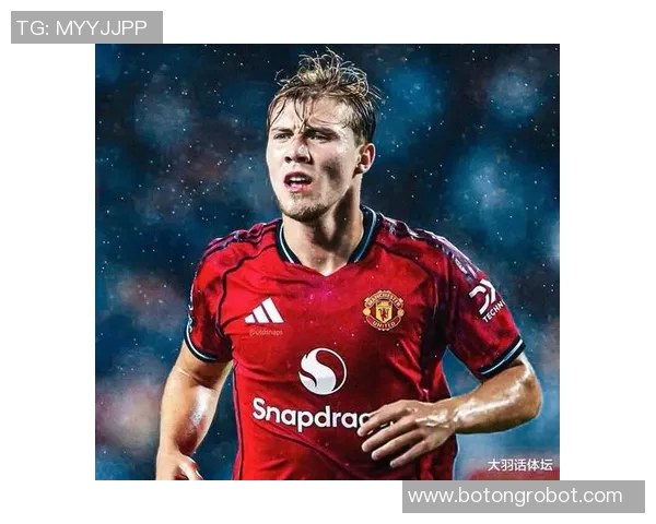 霍伊伦的传奇人生与不屈精神探索之旅