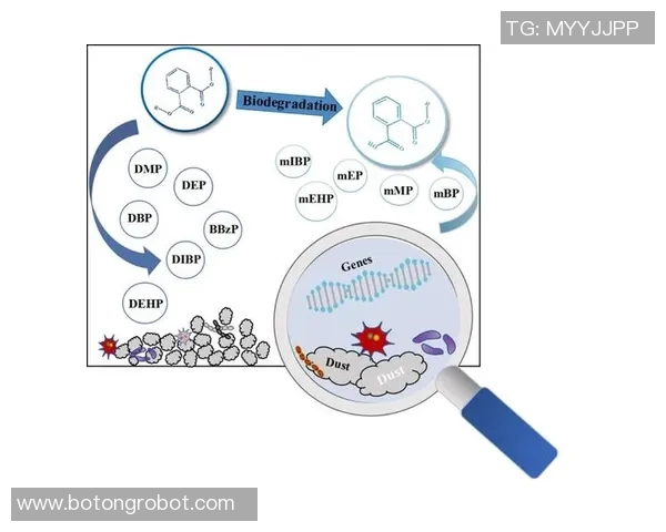 数据分析揭示WE团队协作表现的优势与改进空间
